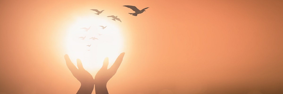 Laura SR, ERCPBE Group, ISC Paris, PGE, Communication interne, communication externe, audit, solidarité, artisan